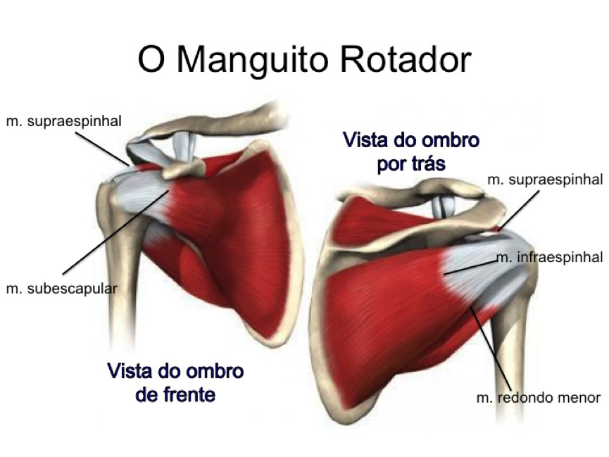 Desvendando a Síndrome do Manguito Rotador
